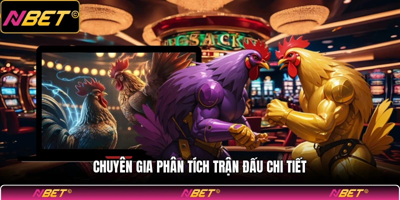 Chuyên gia phân tích trận đấu chi tiết
